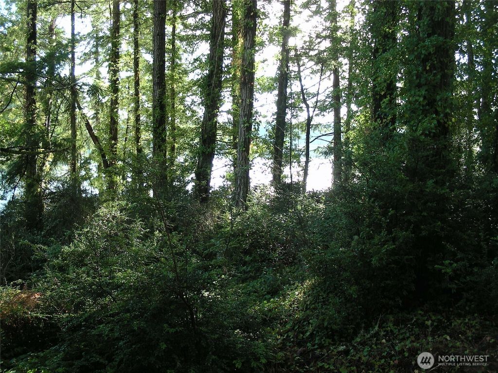 Photo of 0 E Murray Road, Grapeview, WA 98546 (MLS # 2467437)