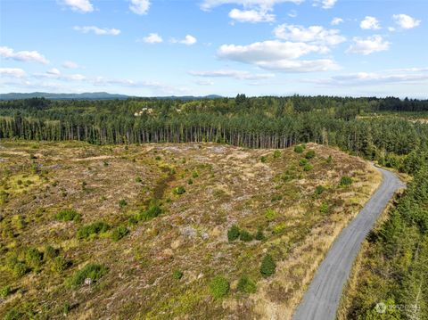 0 Salmon Creek Road Toledo WA 98591