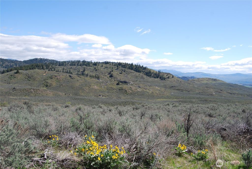 Photo of 0 Lower White Road, Tonasket, WA 98855 (MLS # 2504576)