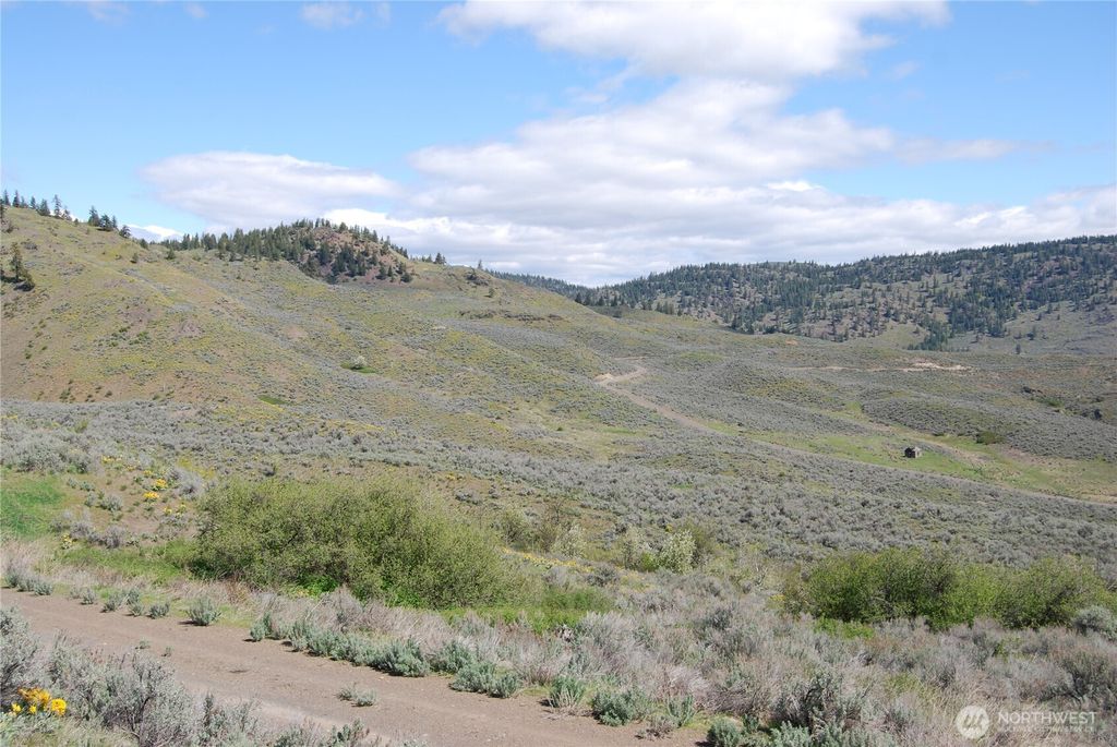 Photo of 0 Lower White Road, Tonasket, WA 98855 (MLS # 2504576)