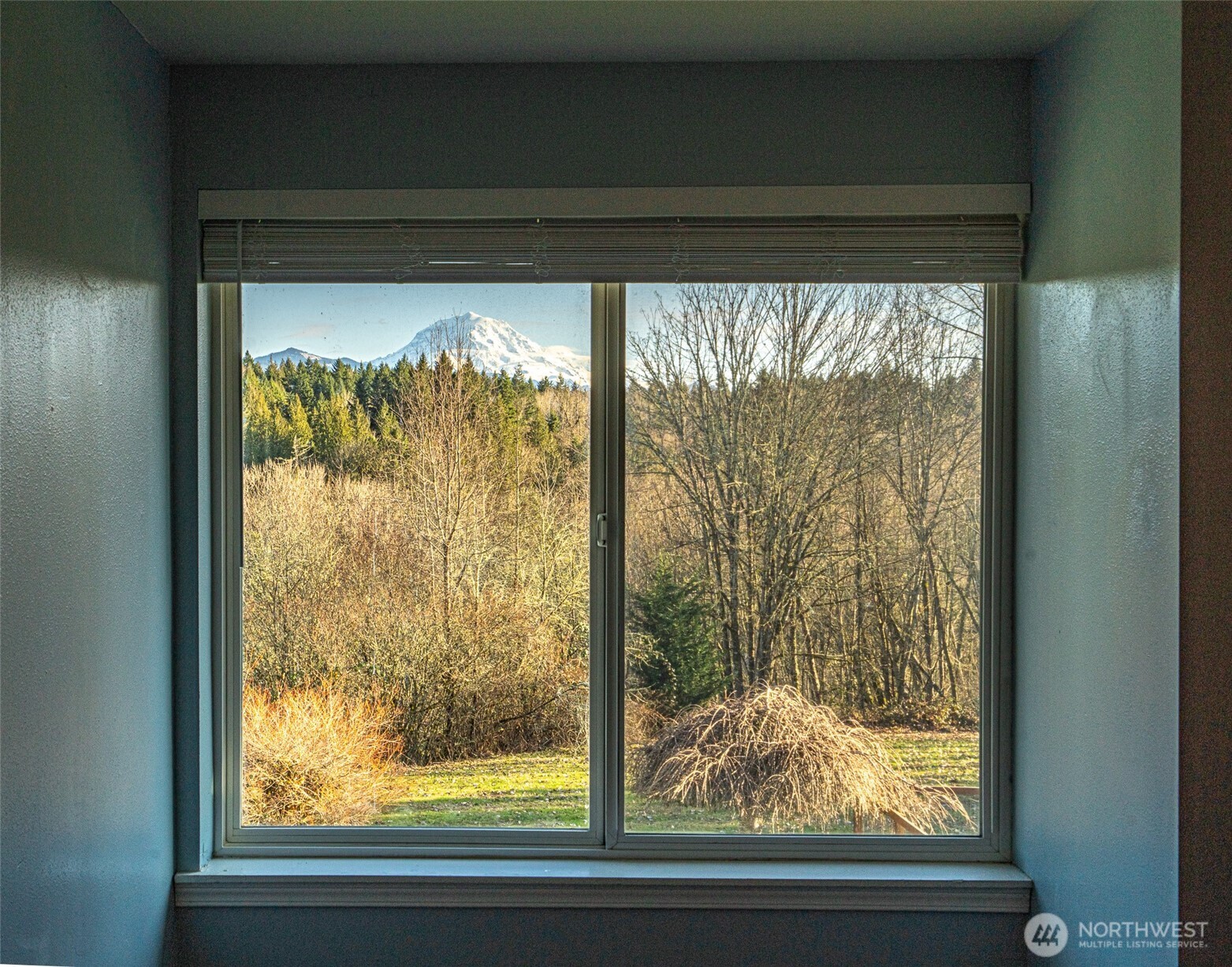 14115 263rd Avenue E