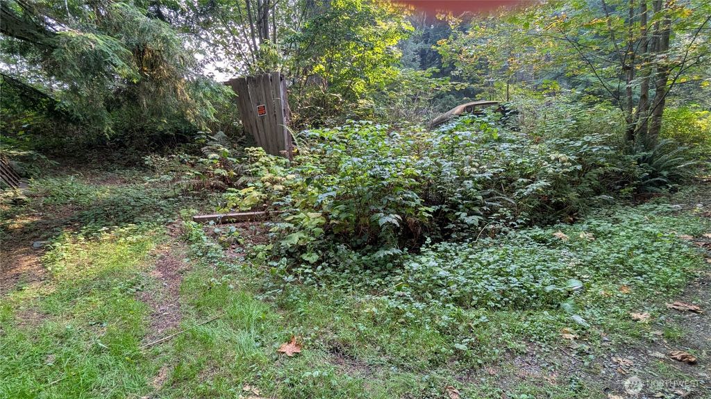 Photo of 0 Mt Index Drive, Index, WA 98256 (MLS # 2436664)