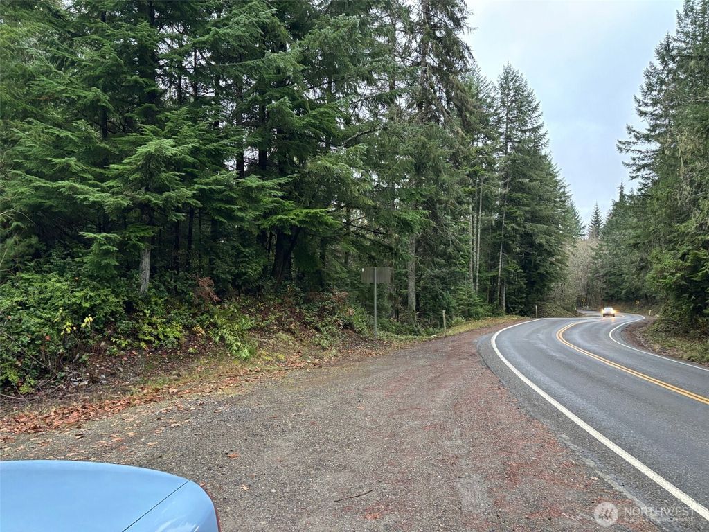 Photo of 896 N Lake Cushman Drive, Hoodsport, WA 98548 (MLS # 2494435)