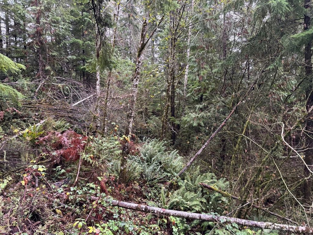 Photo of 896 N Lake Cushman Drive, Hoodsport, WA 98548 (MLS # 2494435)