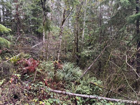 Photo of 896 N Lake Cushman Drive, Hoodsport, WA 98548 (MLS # 2494435)