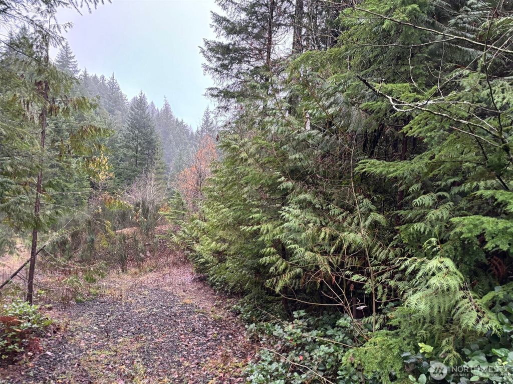 Photo of 896 N Lake Cushman Drive, Hoodsport, WA 98548 (MLS # 2494435)