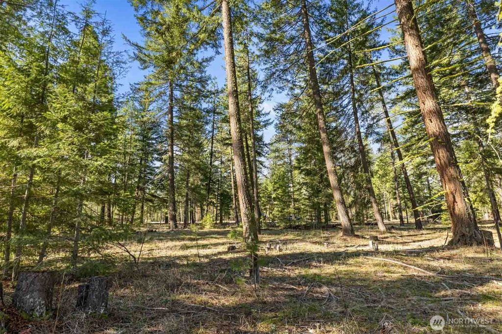 Photo of 52 Wanawish Loop, Cle Elum, WA 98922 (MLS # 2505932)