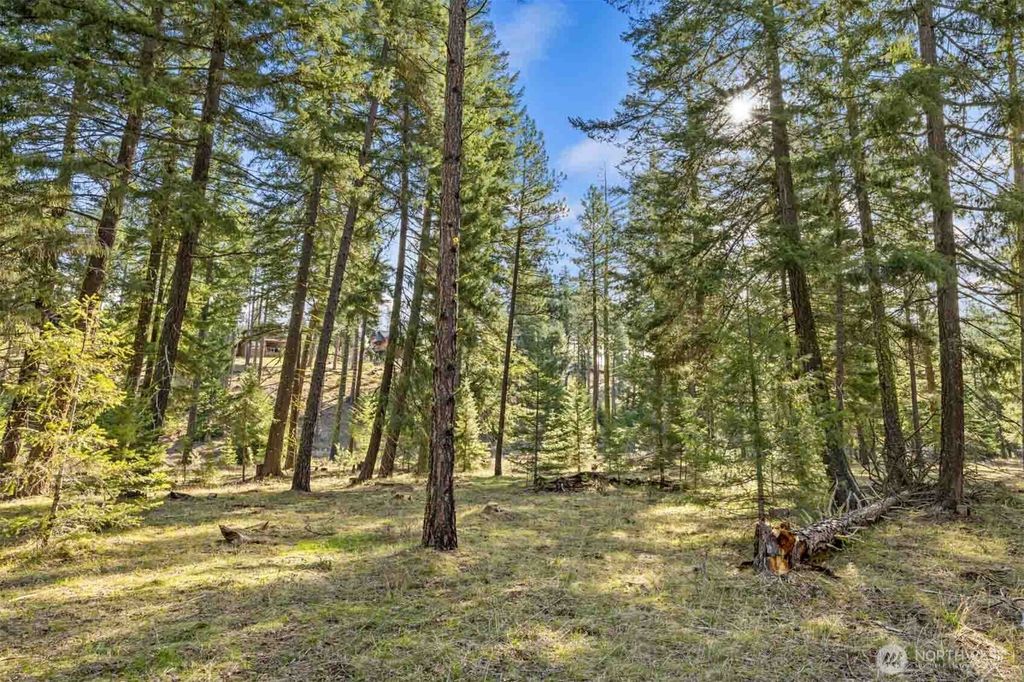 Photo of 52 Wanawish Loop, Cle Elum, WA 98922 (MLS # 2505932)