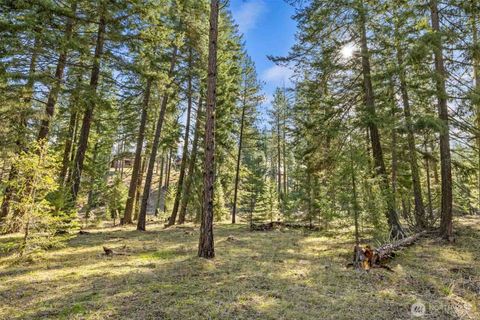Photo of 52 Wanawish Loop, Cle Elum, WA 98922 (MLS # 2505932)