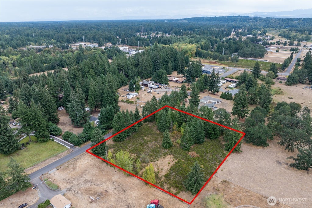 Photo of 4204 267th Street E, Spanaway, WA 98387 (MLS # 2581769)