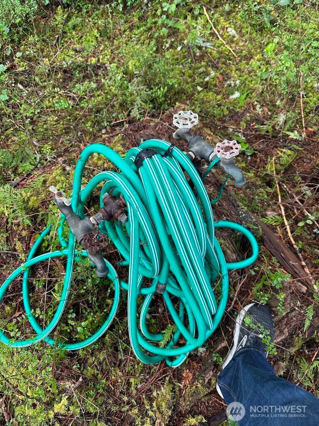 Photo of 44 Robin Lane, Pacific Beach, WA 98571 (MLS # 2500458)