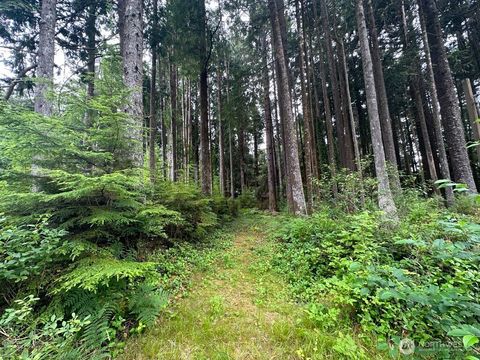 Photo of 44 Robin Lane, Pacific Beach, WA 98571 (MLS # 2500458)