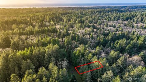 Photo of 13 357th Lane, Ocean Park, WA 98640 (MLS # 2458265)