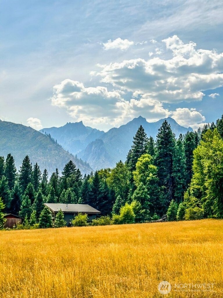 Photo of 99 Latigo Lane, Leavenworth, WA 98826 (MLS # 2585582)