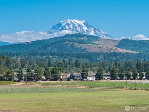 Photo of 18213 & 18307 150th Avenue Ct E, Orting, WA 98360 (MLS # 2566487)