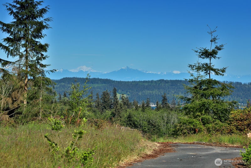 0 Woodland Lane