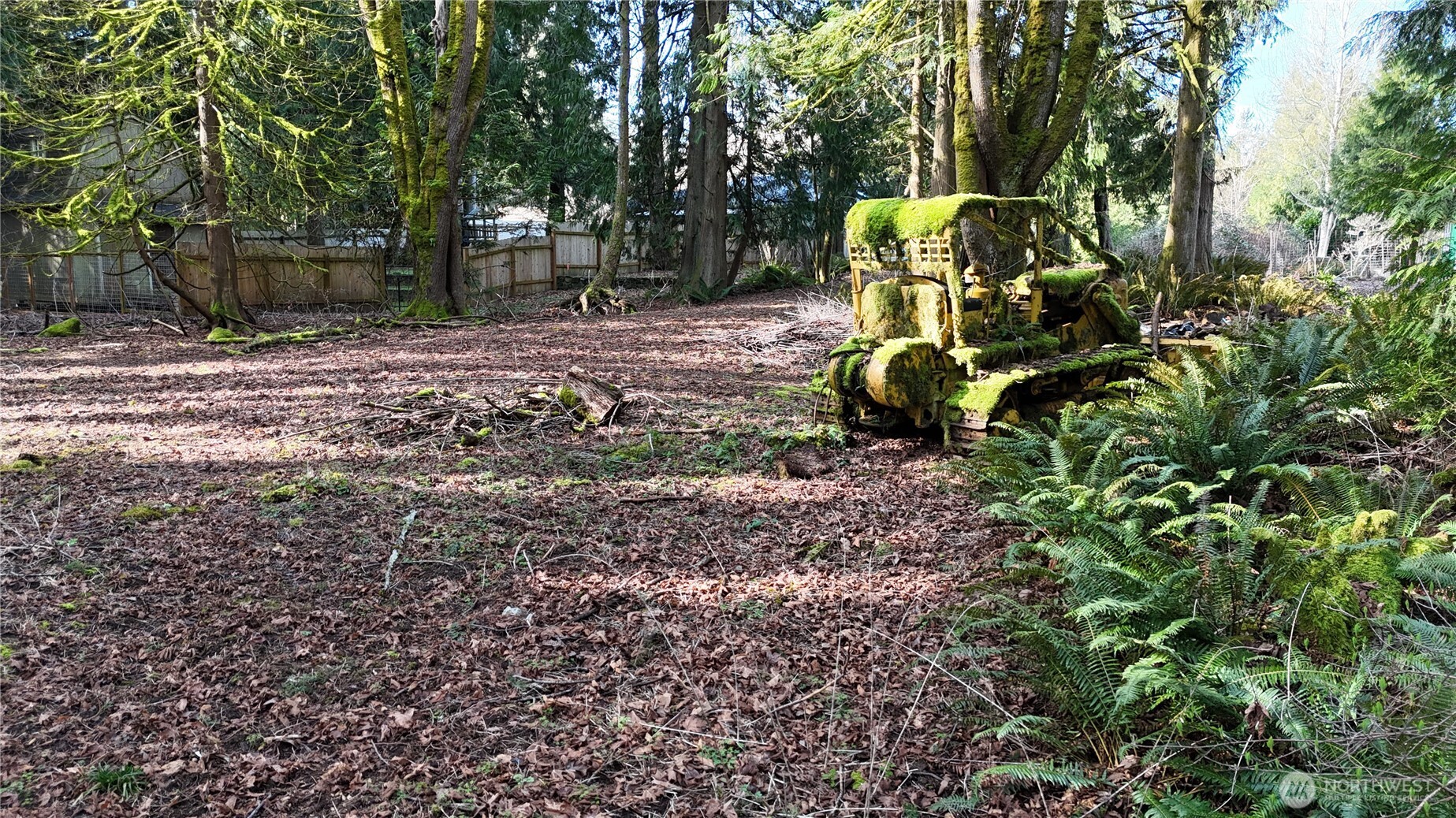 2254 Yew Street Road