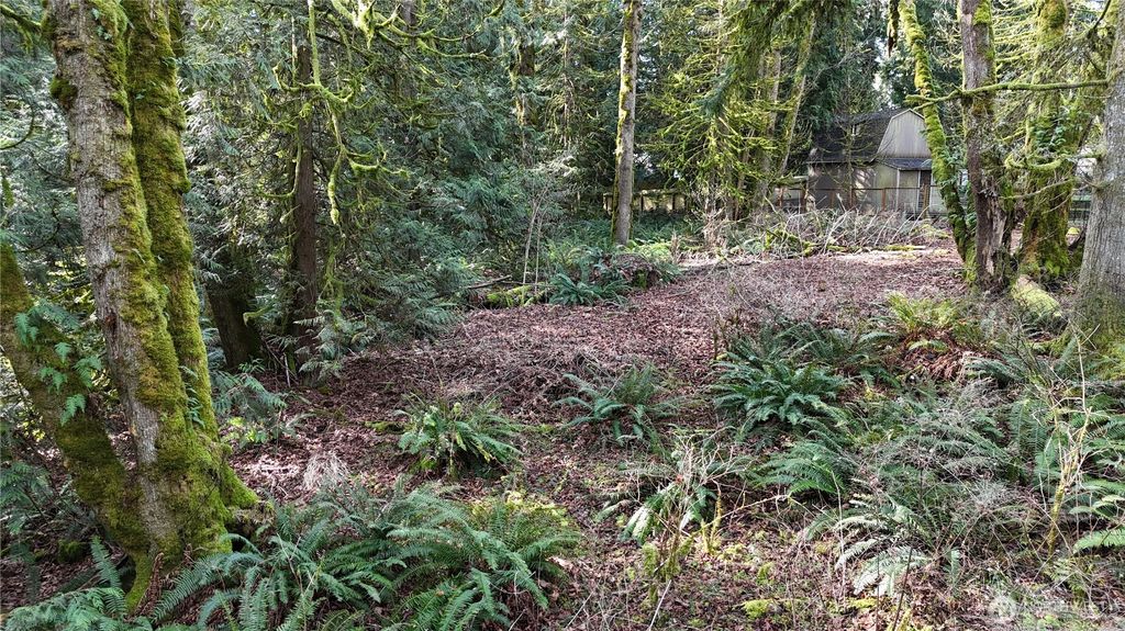 Photo of 2254 Yew Street Road, Bellingham, WA 98229 (MLS # 2486413)