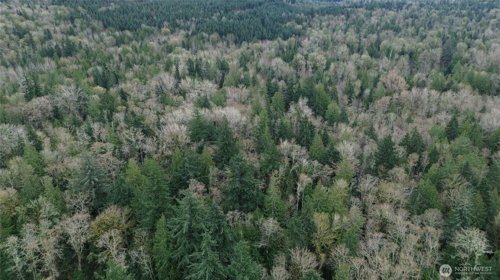 Photo of 9 E Street, Bellingham, WA 98225 (MLS # 2502335)