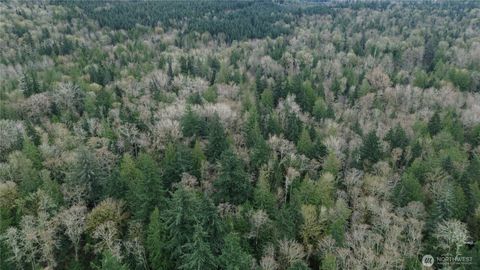 Photo of 9 E Street, Bellingham, WA 98225 (MLS # 2502335)