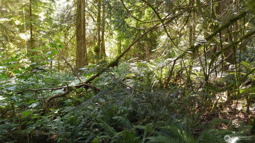 Photo of 9 E Street, Bellingham, WA 98225 (MLS # 2502335)