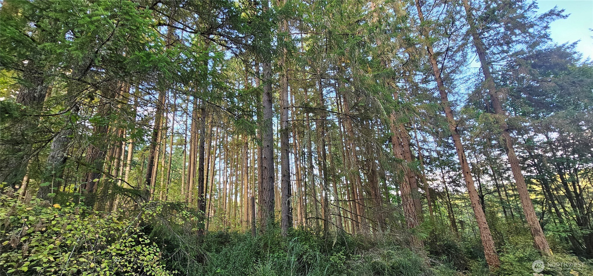 10115 Edgewood Drive