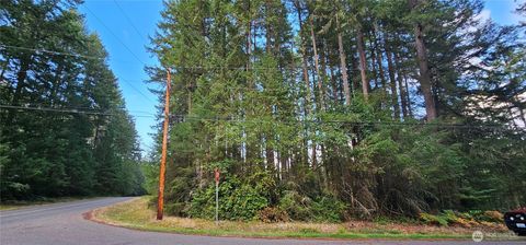 10115 Edgewood Drive Anderson Island WA 98303