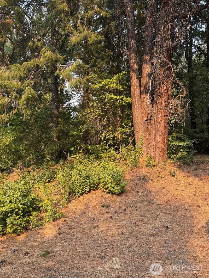 0 Little Chumstick Creek Rd
