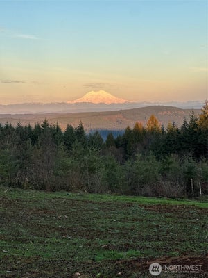 208 SUNCREST DR, CASTLE ROCK, WA 98611 - Image 37a67a4c9c53c124e3280c6bb5c4fdef/1172879794