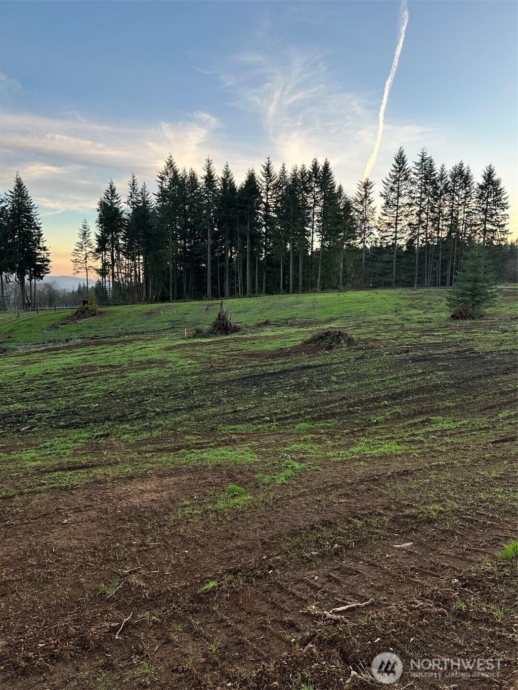 Photo of 208 Suncrest Drive, Castle Rock, WA 98611 (MLS # 2467982)