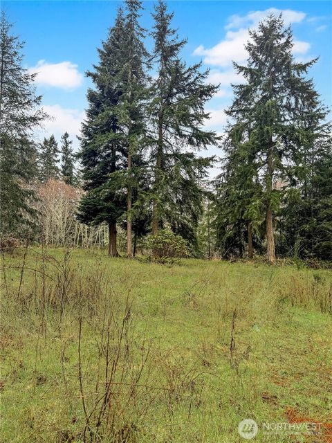 0 Prospect Avenue Port Hadlock WA 98339