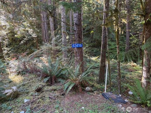Photo of 63416 E Ross Place, Marblemount, WA 98267 (MLS # 2443875)