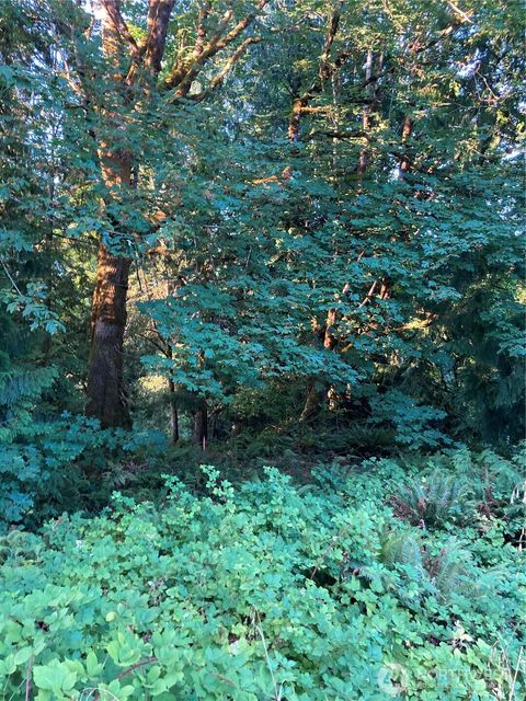 Photo of 0 XX(2) 73rd Avenue NE, Olympia, WA 98506 (MLS # 2452480)