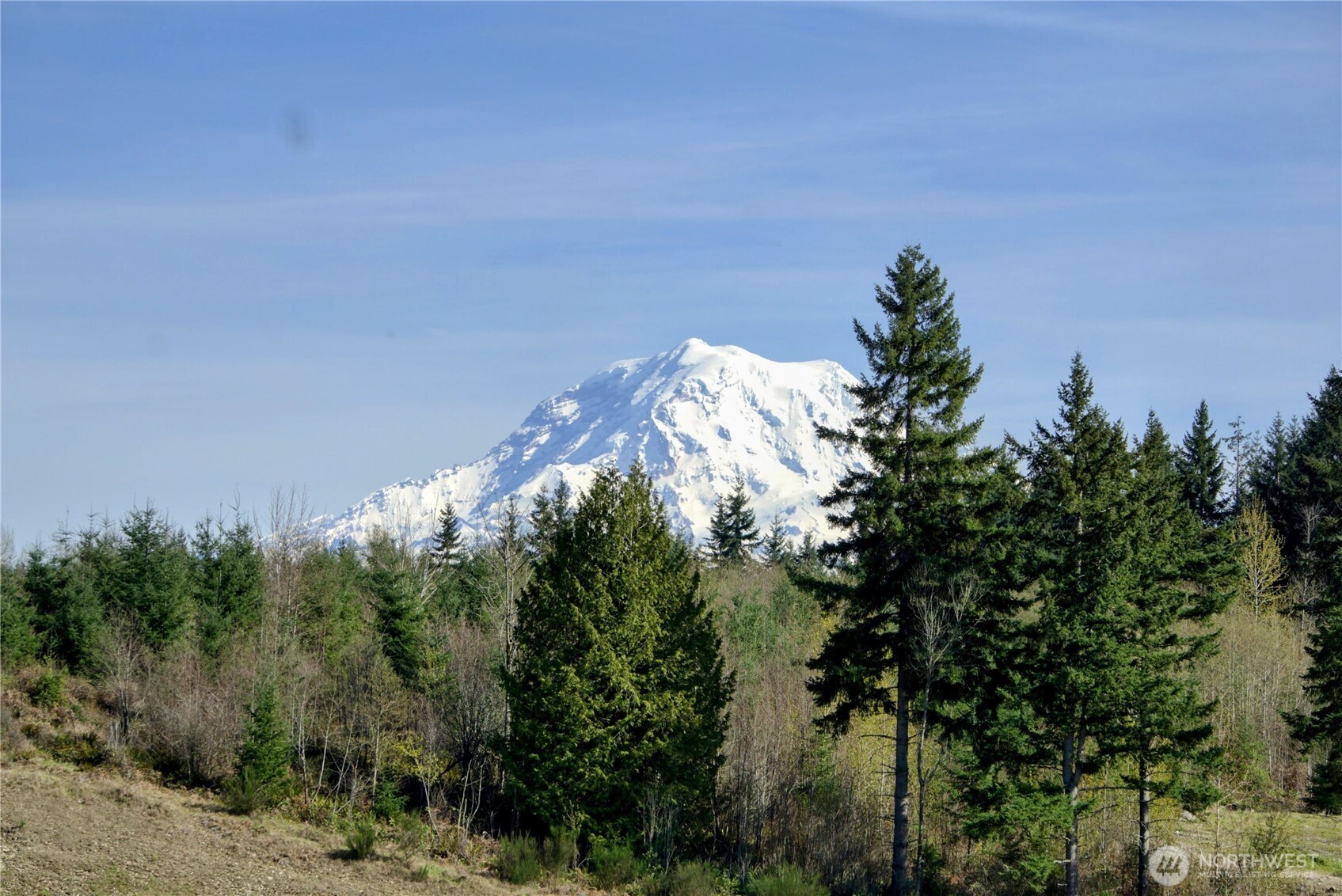 15528 174th Avenue Ct E