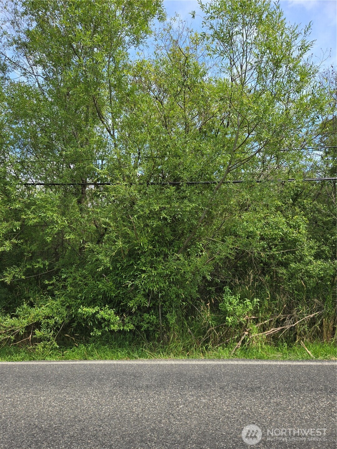 7933 Custer Road
