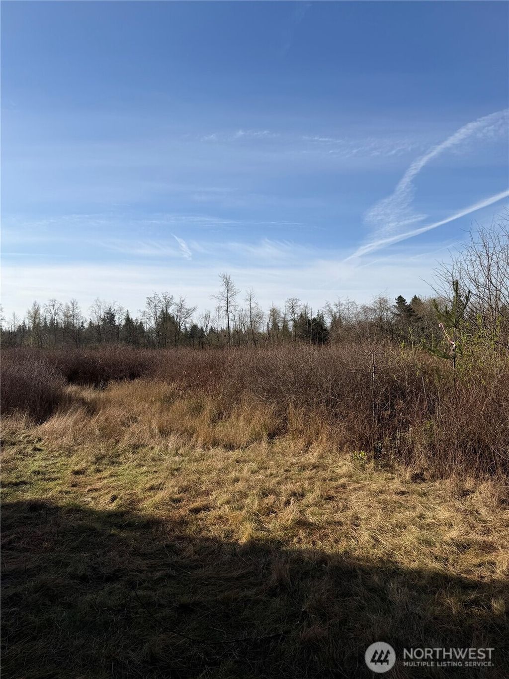 Photo of 18114 19th Avenue NE, Arlington, WA 98223 (MLS # 2500173)