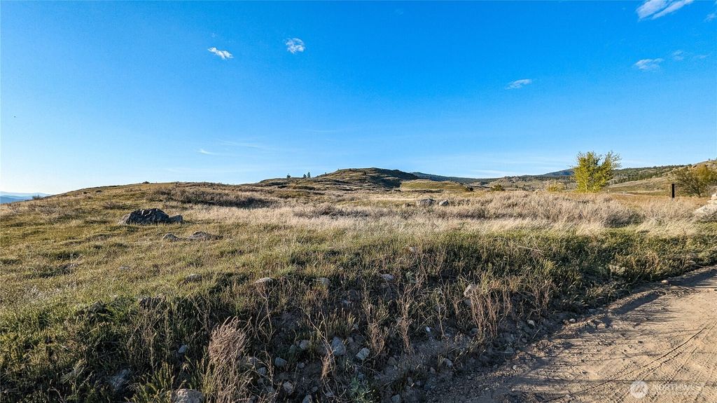 Photo of 174 Round Up Road, Oroville, WA 98844 (MLS # 2494731)