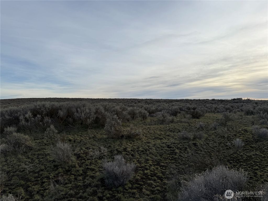 Photo of 0 15.6 Road, Wilson Creek, WA 98860 (MLS # 2469163)