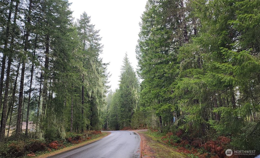 Photo of 51 N Cod Place, Hoodsport, WA 98548 (MLS # 2470408)