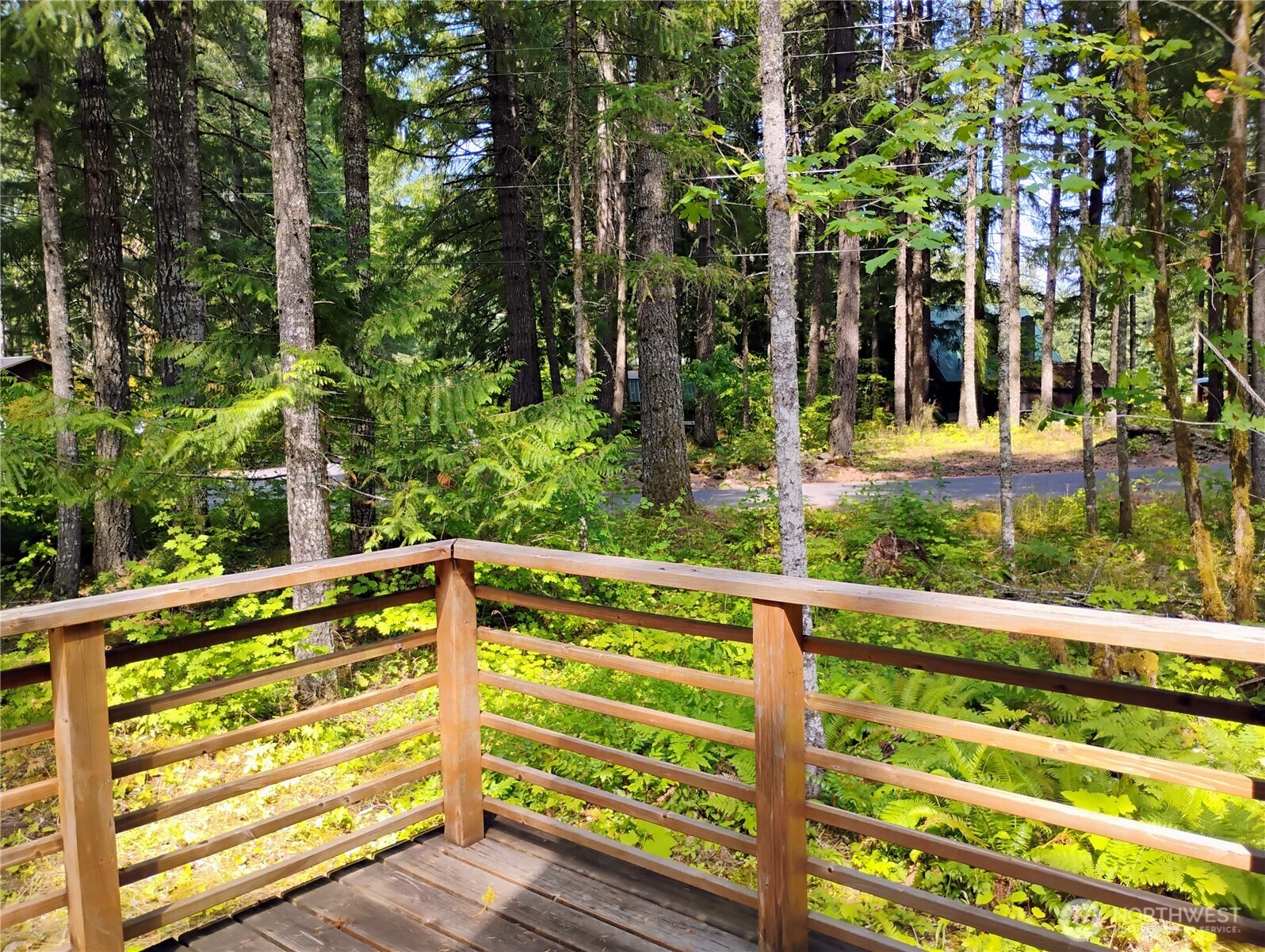 119 Timberline Drive W