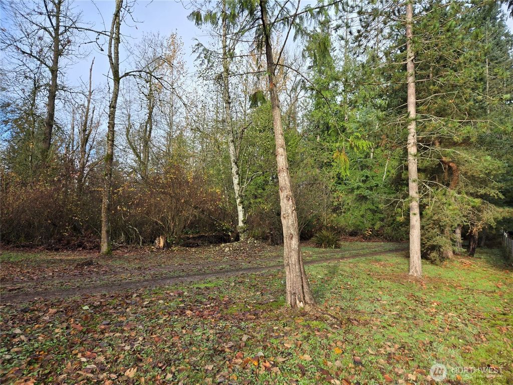 Photo of 388 XX 191st Avenue SE, Auburn, WA 98092 (MLS # 2456279)