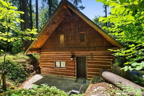 Photo of 25525 SE Tiger Mountain Road, Issaquah, WA 98027 (MLS # 2566596)