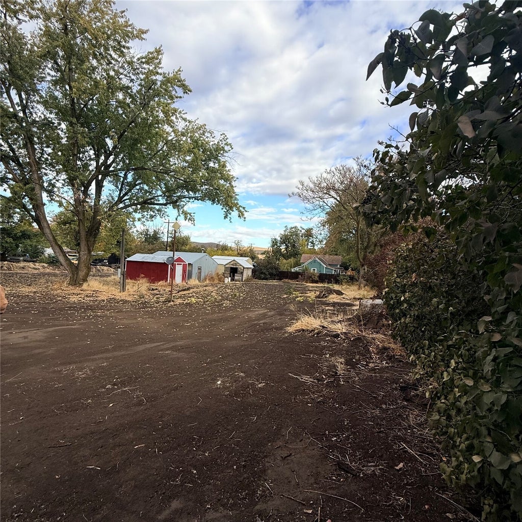 Photo of 111 N C Street, Prescott, WA 99348 (MLS # 2597815)