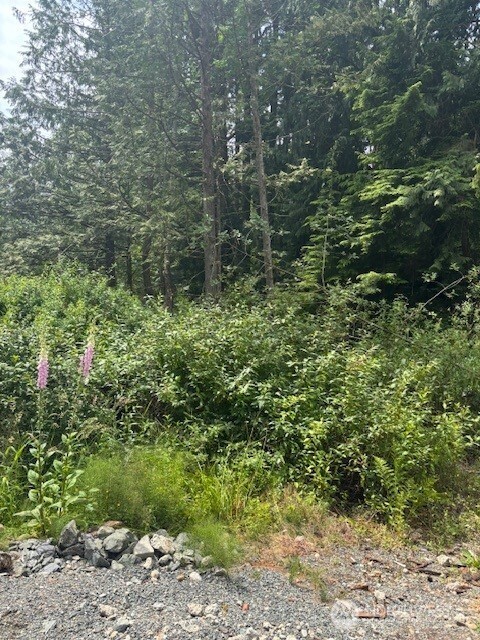 519 Cain Lake Road
