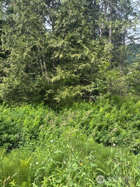 519 Cain Lake Road