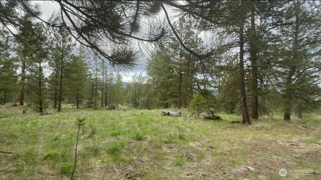 Photo of 0 FS 3010 Road, Tonasket, WA 98855 (MLS # 2482194)
