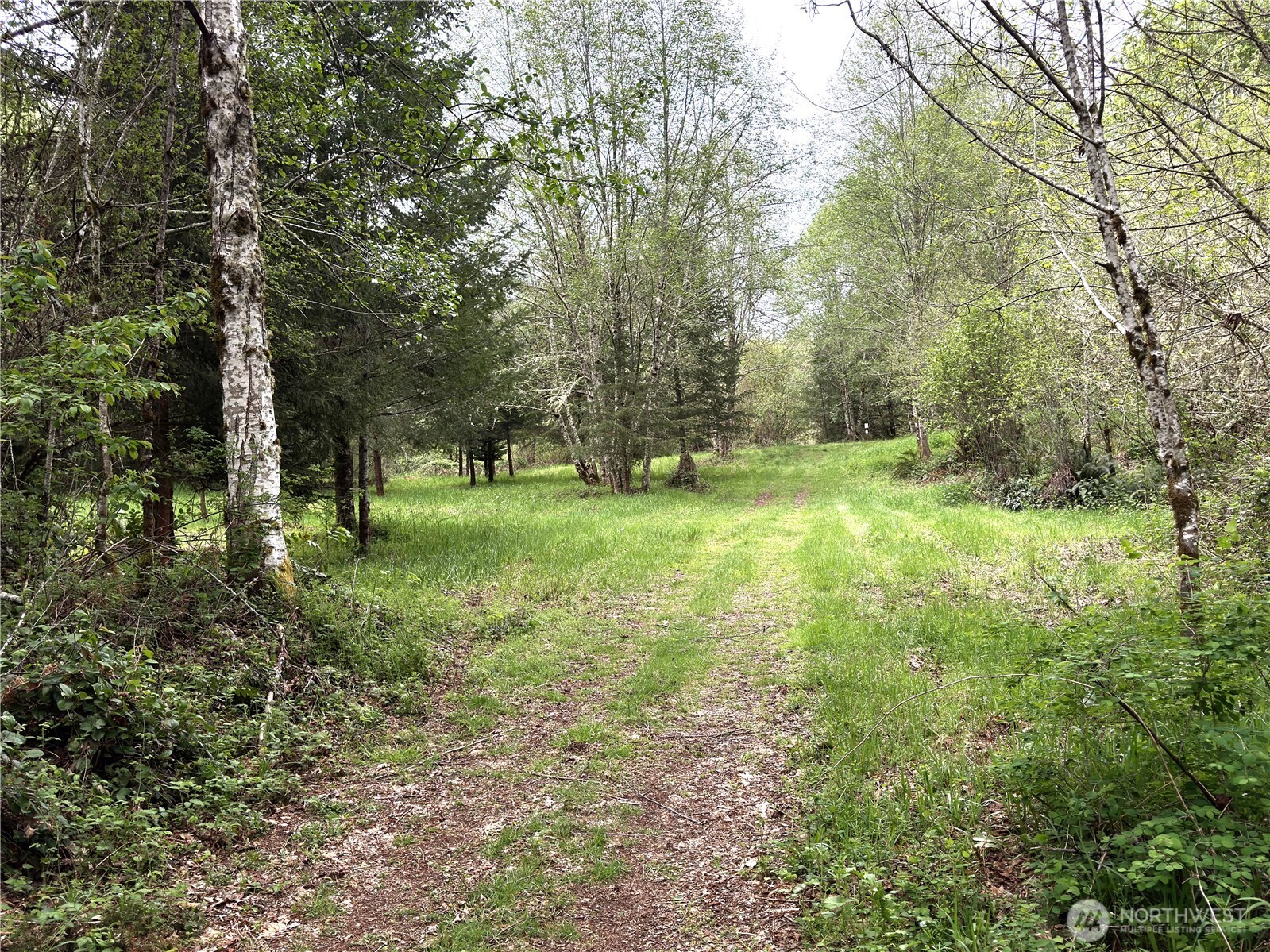 0 40 acres 143rd Avenue SE