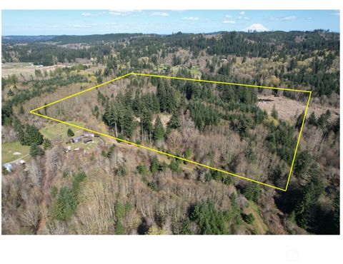Photo of 0 40 acres 143rd Avenue SE, Tenino, WA 98589 (MLS # 2519231)