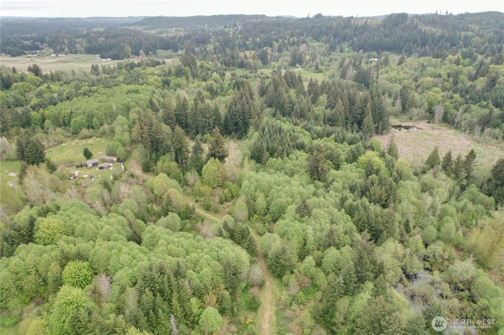 Photo of 0 40 acres 143rd Avenue SE, Tenino, WA 98589 (MLS # 2519231)