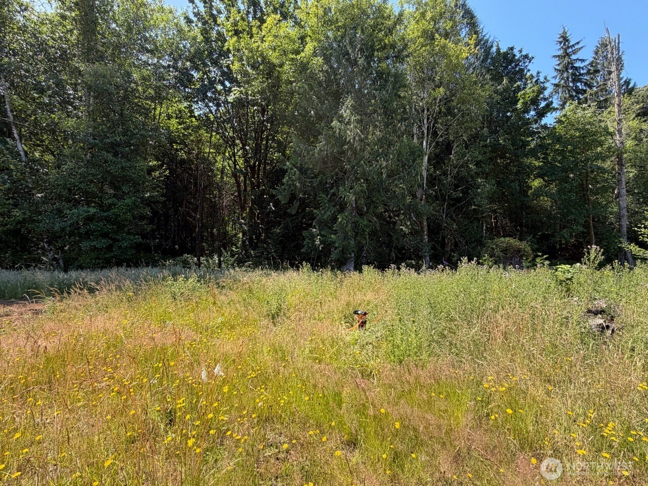 434 W Bulb Farm Road